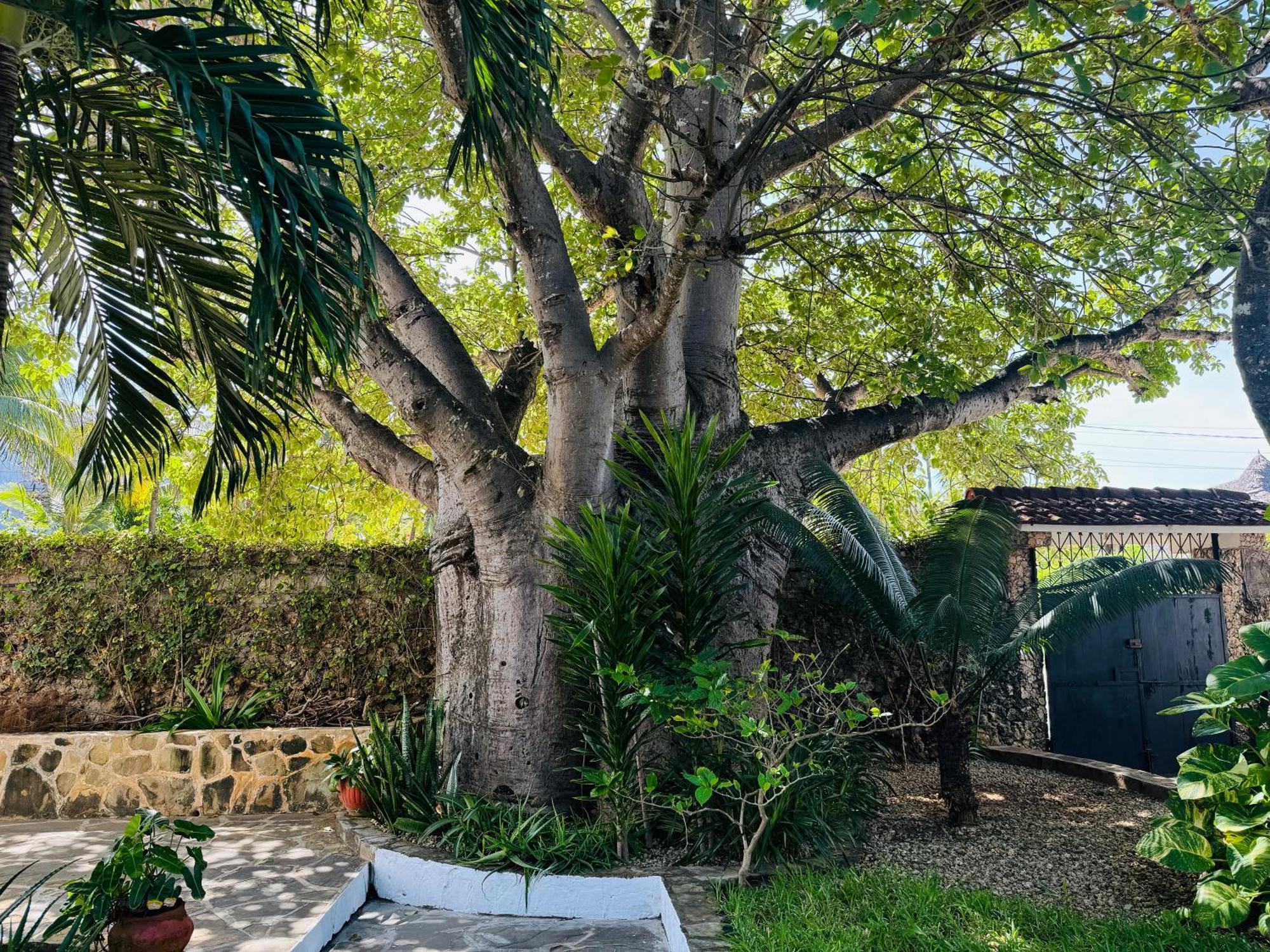 Watamu Villaggio المظهر الخارجي الصورة
